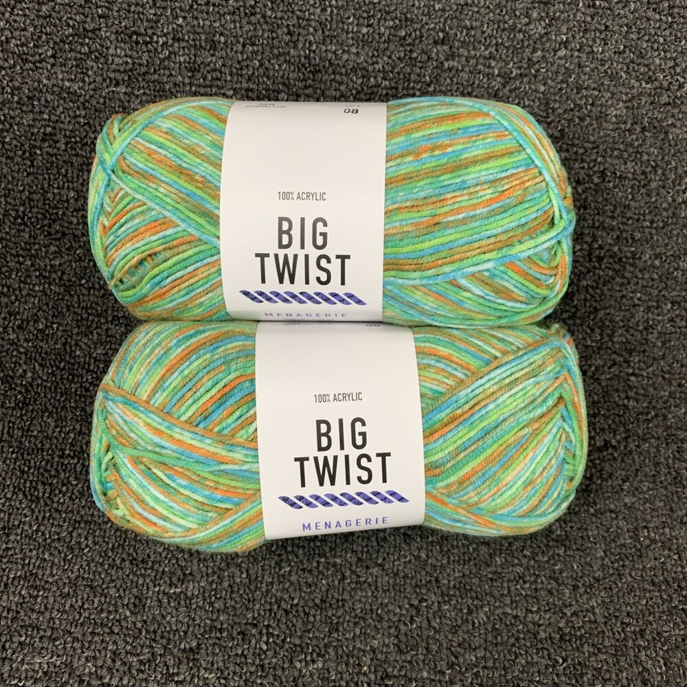 Lot of 2 Big Twist Menagerie Yarn Color is Chameleon 410 yds NEW Discontinued